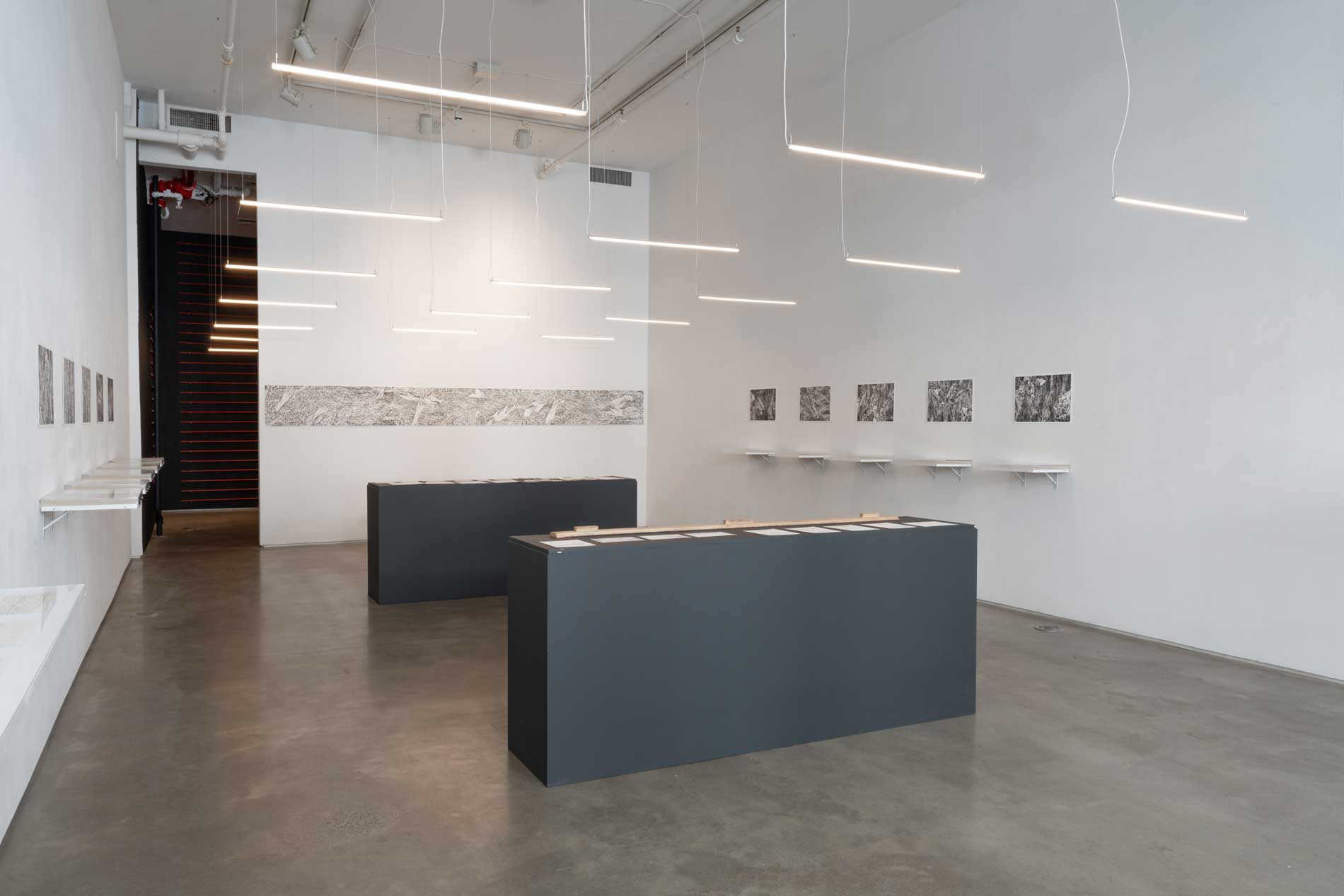 exhibition view of undercurrents
