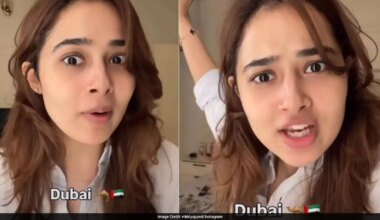 'Dust And Pollution Don't Exist': Indian Woman Praises Dubai's Cleanliness And Traffic Discipline