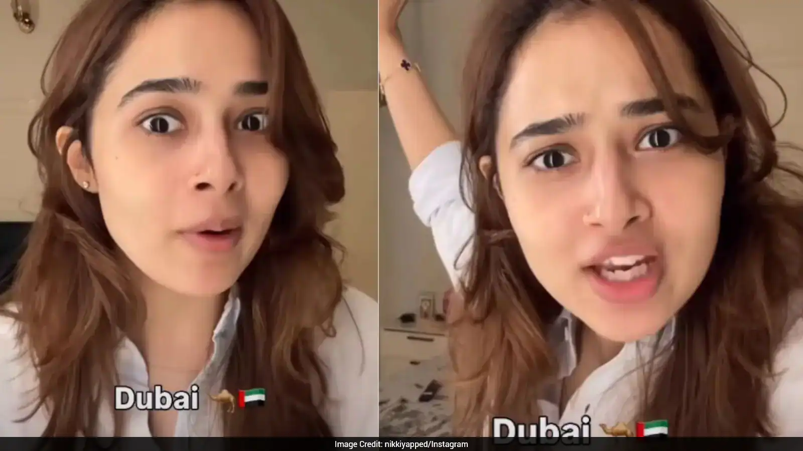 'Dust And Pollution Don't Exist': Indian Woman Praises Dubai's Cleanliness And Traffic Discipline