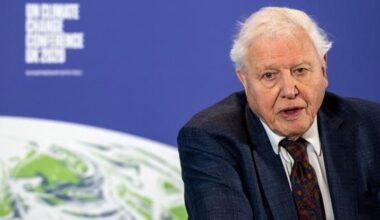 The problem with David Attenborough’s spectator environmentalism