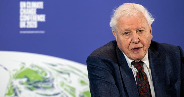 The problem with David Attenborough’s spectator environmentalism