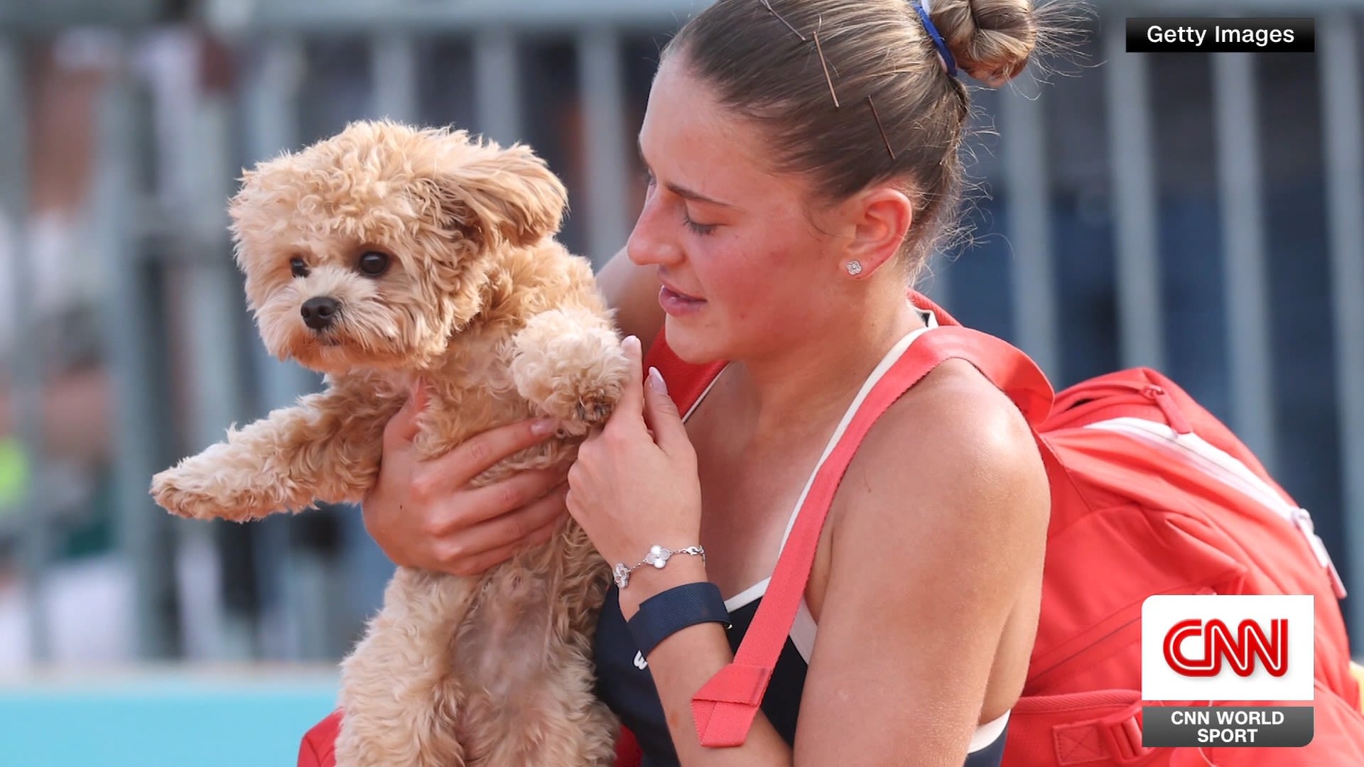<p>At the French Open, puppy love nearly outshined the tennis at Roland Garros. CNN's Don Riddell looks at the canine phenomenon helping players and fans smile. </p>