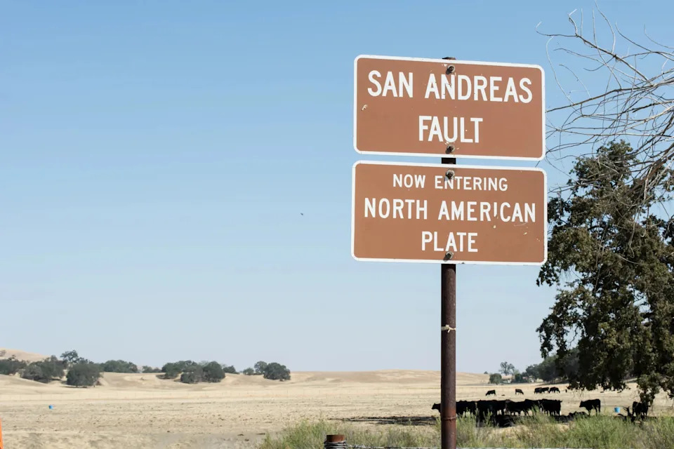 Parkfield, CA, September 9 ,2016: Cattle grazing on the faultline of the San Andreas Fault in Parkfield, California. Parkfield, CA calls itself the earthquake capital of the world where the faultline between the Pacific plate and the North American plate is prominently marked.