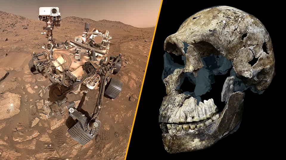 A split image of NASA's Perseverance rover on Mars and the skull of early hominin Homo naledi. .