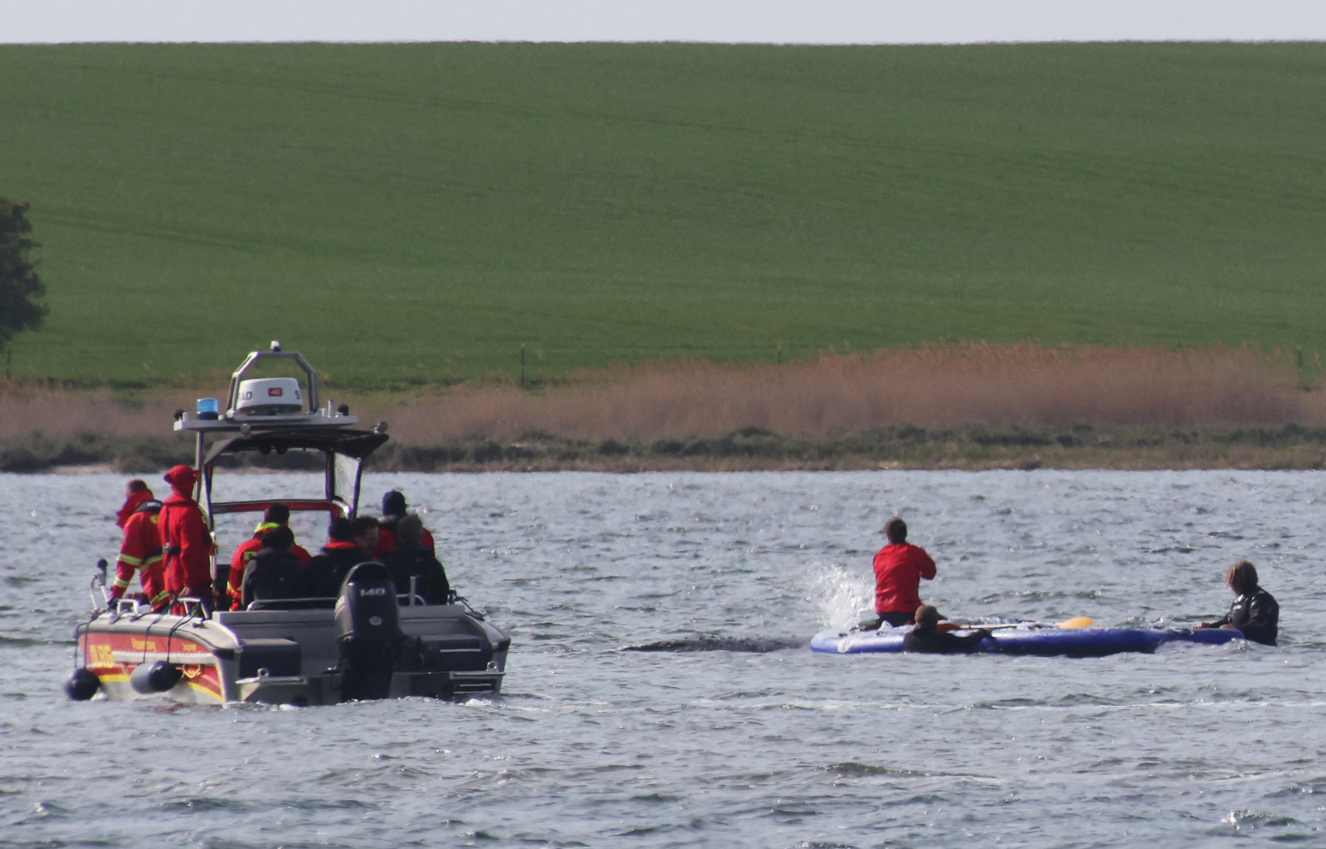 A rescue team assists Timmy in the Wismarer Bucht bay of the Baltic Sea off northern Germany on 27 April