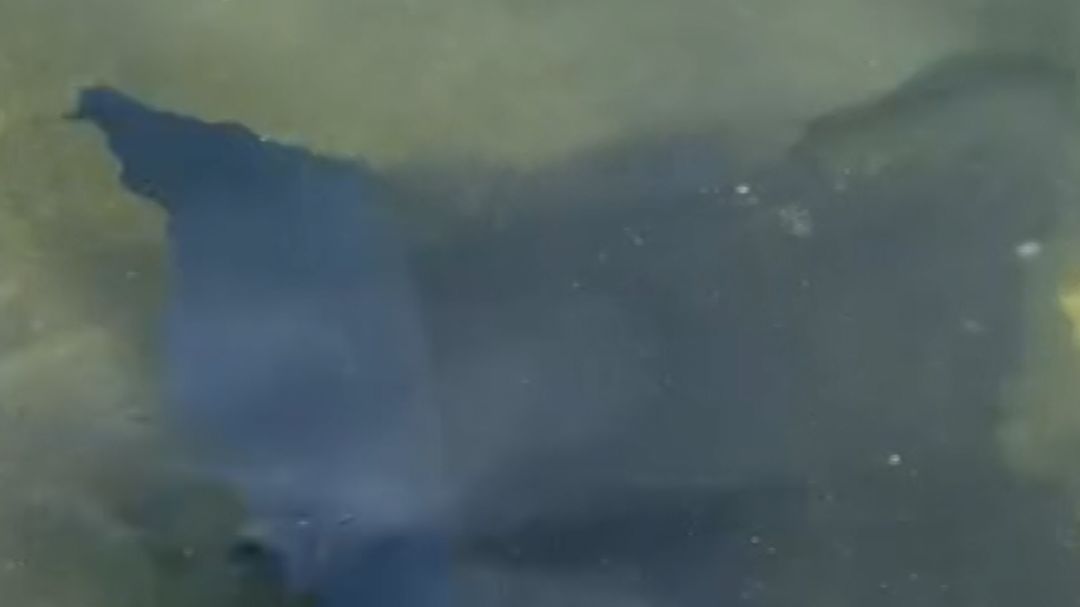 22730233 - reflecting pool object.00_00_11_21.Still001.jpg