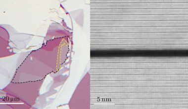 Encapsulation enhances surface structure imaging of 2D quantum material – Physics World