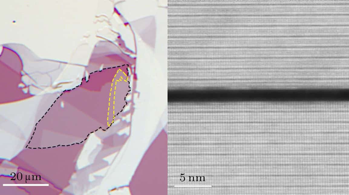 Encapsulation enhances surface structure imaging of 2D quantum material – Physics World