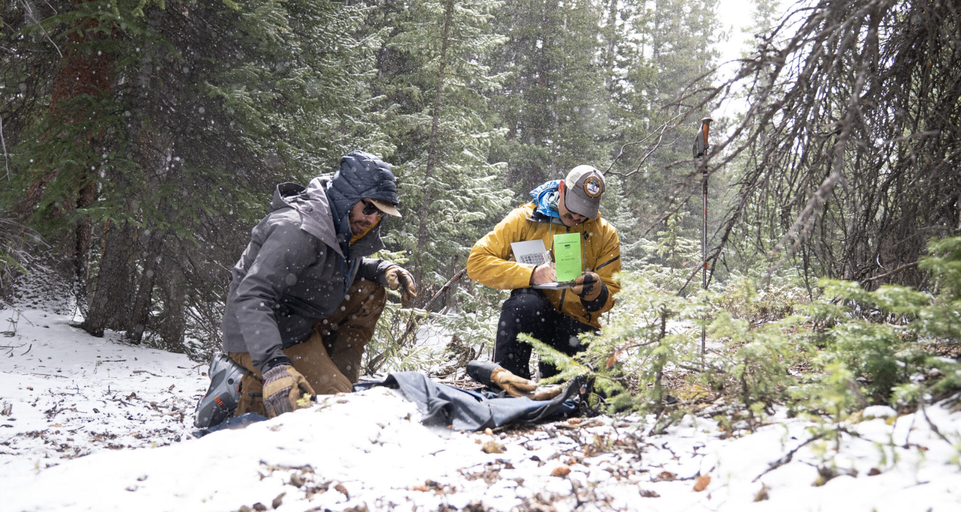 It won't end the drought, but Super El Niño expected to boost Colorado moisture