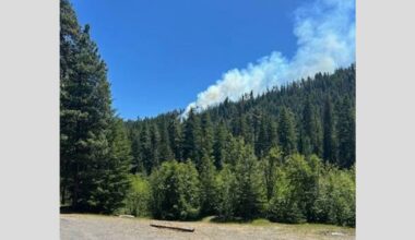 Pilot ejects before fighter jet crashes into mountain in Washington state woodlands