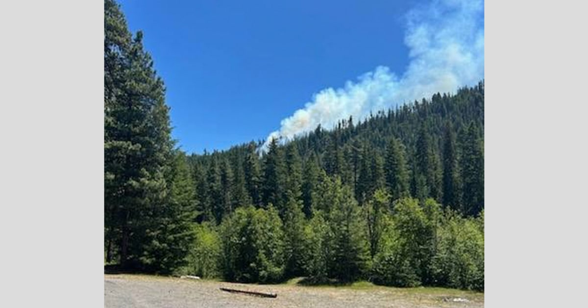 Pilot ejects before fighter jet crashes into mountain in Washington state woodlands