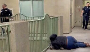 LAPD kills dog in Knicks shirt while responding to call on screaming woman — who was celebrating Knicks win