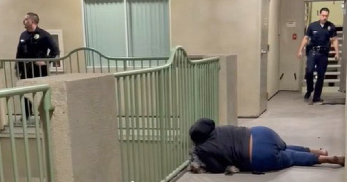LAPD kills dog in Knicks shirt while responding to call on screaming woman — who was celebrating Knicks win
