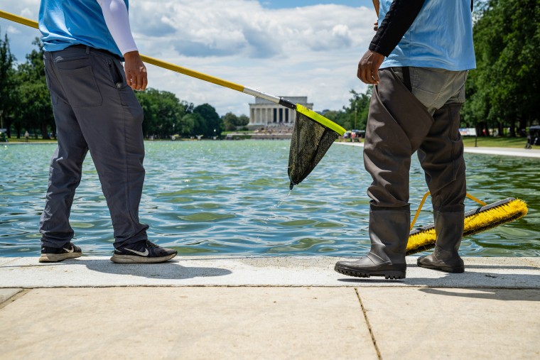 Lincoln Memorial Reflecting Pool.