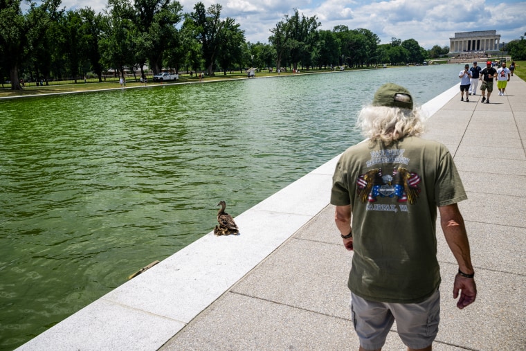Lincoln Memorial Reflecting Pool.