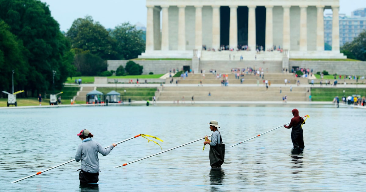 Blue paint seen chipping off in Lincoln Memorial Reflecting Pool after algae turn it green