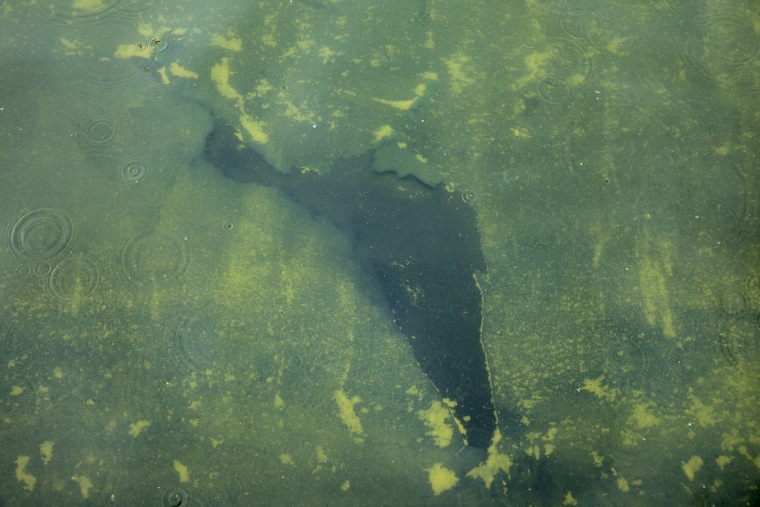 Image: A tear in the recently applied sealant can be seen on the bottom of the Lincoln Memorial Reflecting Pool on June 18, 2026 in Washington, D.C.