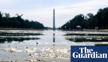 It’s not easy being green: Trump’s botched reflecting pool becomes 2,028ft metaphor | Donald Trump