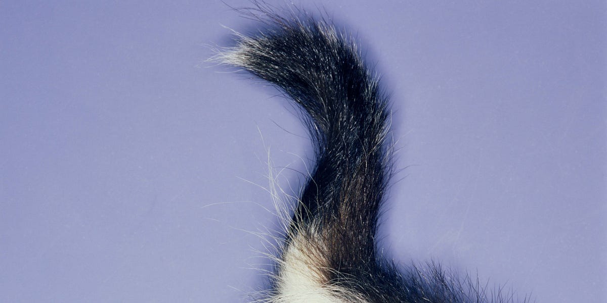 Here’s How Often People Fart, According to Science
