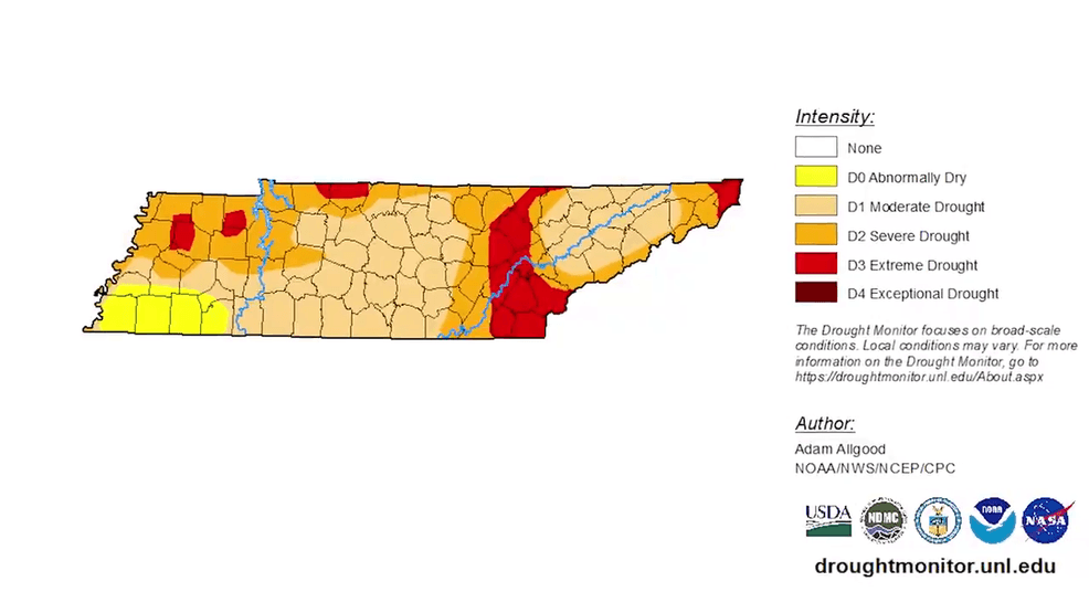 Image via TVA