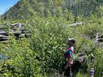FILE - At Finn Rock Reach on May 18, 2026, Eli Tome notes the number of feet that the willow trees have grown this year. The widened river and logjams are visible in the background.