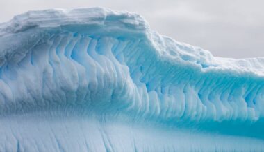 Antarctica’s Hidden ‘Megastructure’ Stuns Scientists With Continent-Size Scale