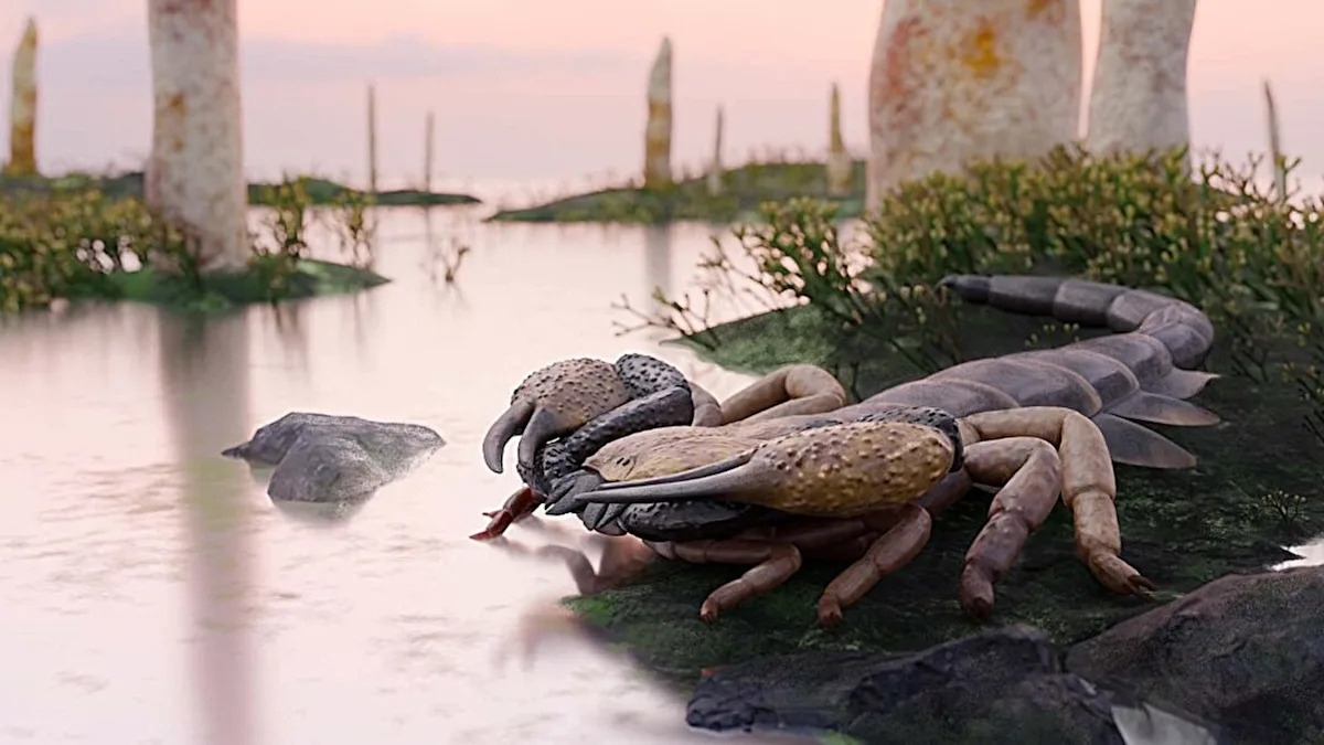 World’s biggest scorpions were the size of baseball bats