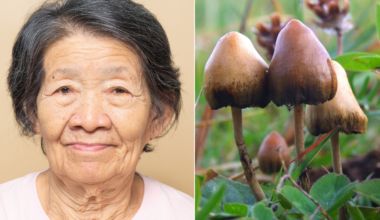 A woman with Alzheimer’s hadn’t spoken in 5 years. A dose of psilocybin changed everything.