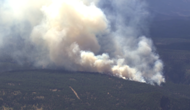LIVE UPDATES: McCauley Fire in Sandoval County forces evacuations