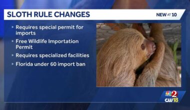 Orlando sloth deaths lead Florida to tighten import rules