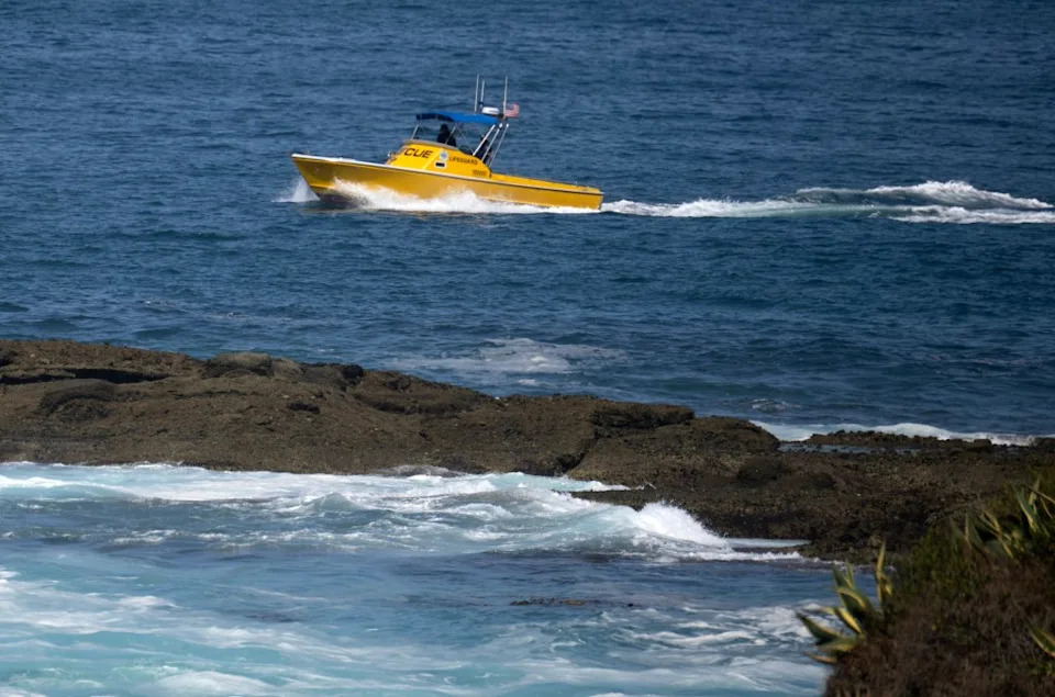 A massive search was launched after she went missing. Mindy Schauer/The Orange County Register via AP