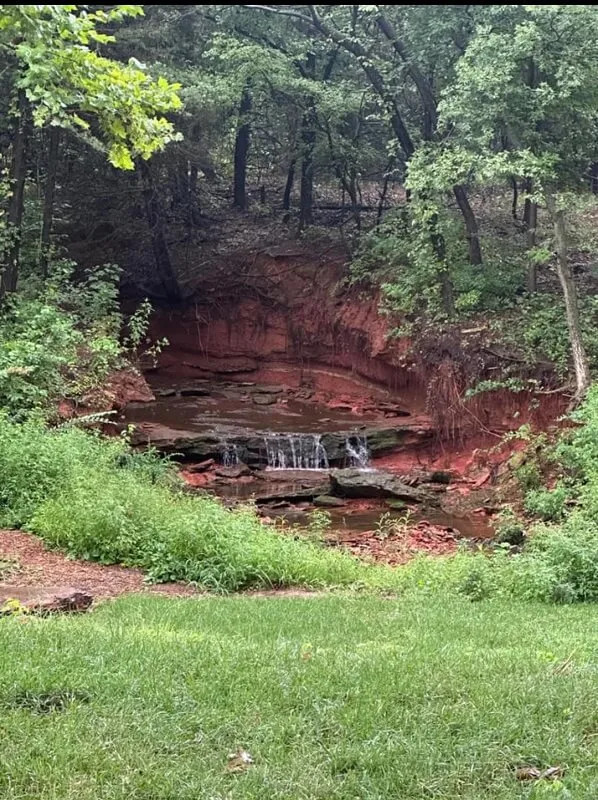 A small waterfall cascading over rocks surrounded by lush greenery and red clay banks in a wooded area.