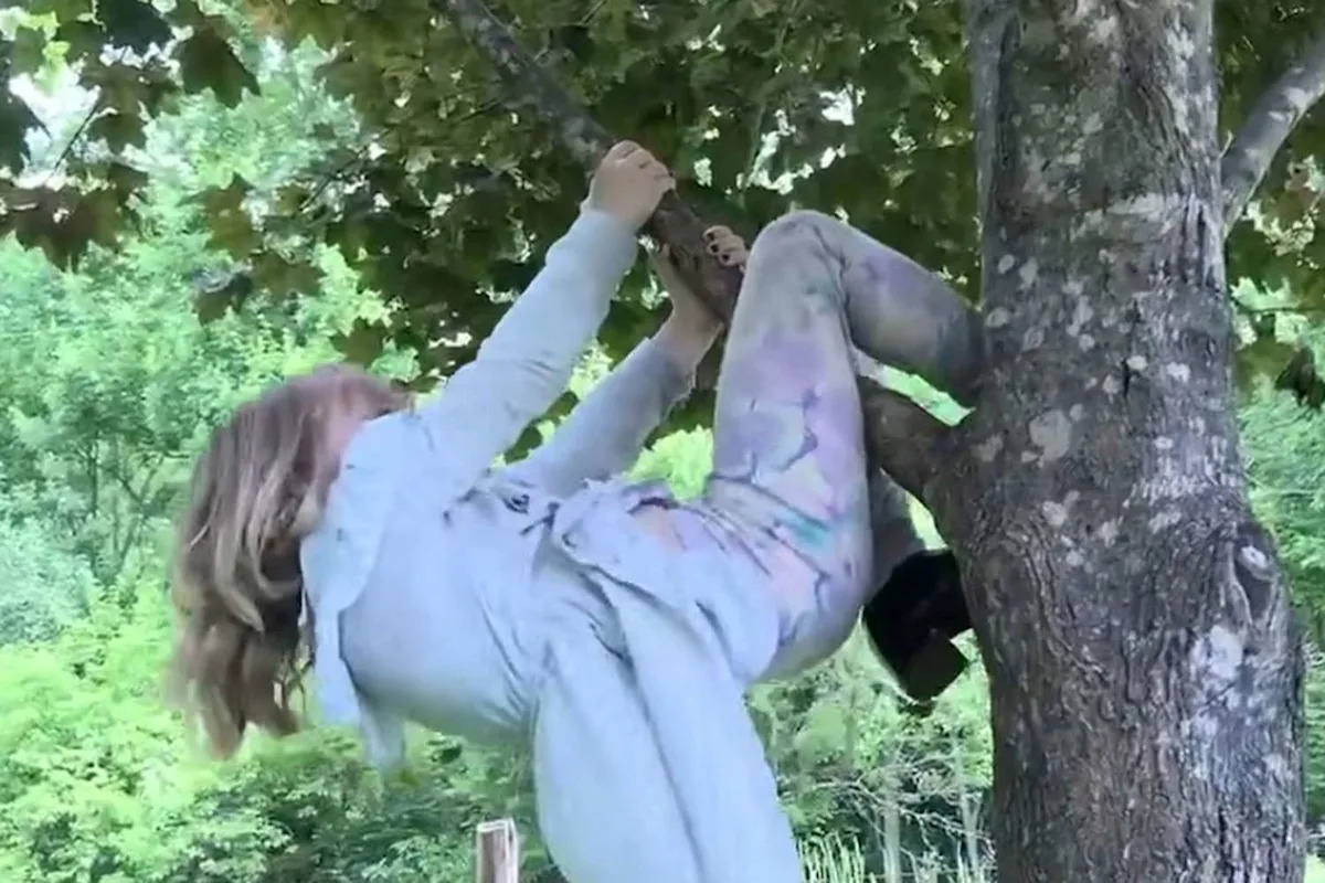 6-Year-Old Girl Bitten by Rabid Bat While Climbing Tree Outside Her Family’s Wisconsin Home