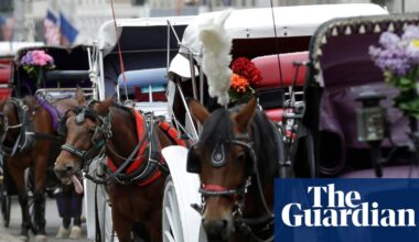 Teenager dies after being thrown from horse-drawn carriage in Central Park | New York