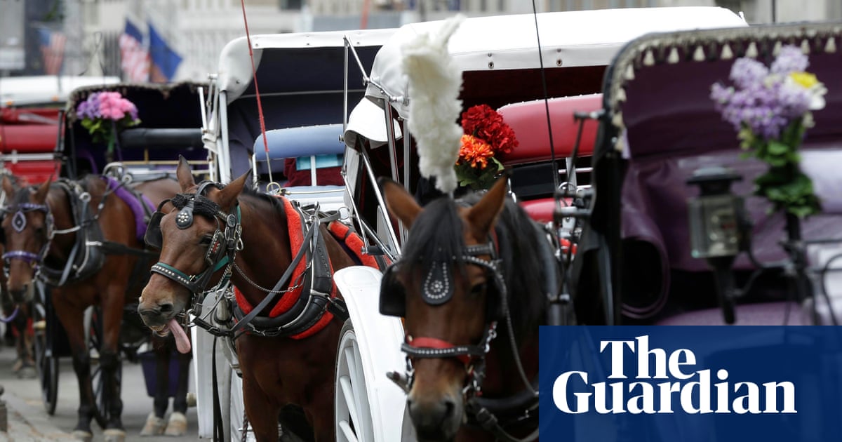 Teenager dies after being thrown from horse-drawn carriage in Central Park | New York