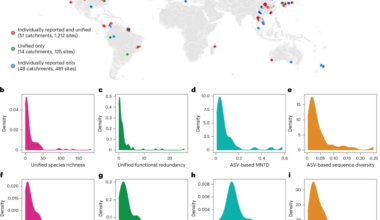 A unified analysis of global riverine eDNA reveals common associations of fish biodiversity with drainage characteristics