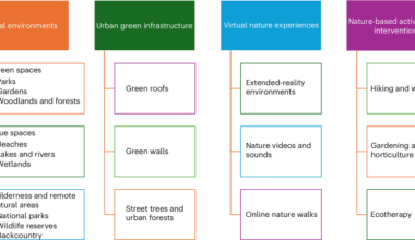 A systematic overview and second-order meta-analysis of nature-based interventions for stress, anxiety and depression