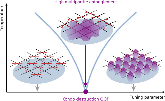 Fig. 5: Visualization of enhanced multipartite entanglement in the Kondo destruction scenario.