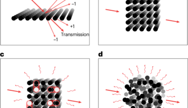 Suppression of coherent light scattering in a three-dimensional atomic array