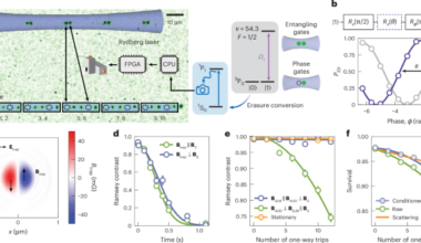 Logical qubits with erasure conversion using metastable neutral atoms