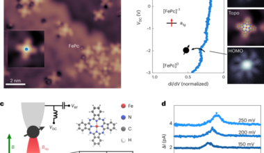 Exchange-mediated spin–electric control of single molecules on surfaces
