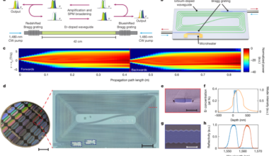 High-pulse-energy integrated mode-locked laser using a Mamyshev oscillator