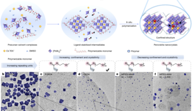 In situ nanocrystal confinement for efficient blue perovskite LEDs