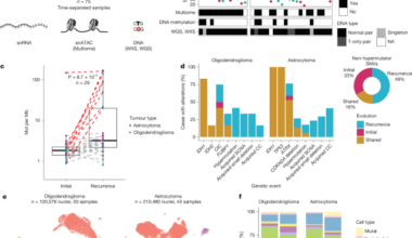 Acquired genetic and cell-state changes in IDH-mutant glioma progression