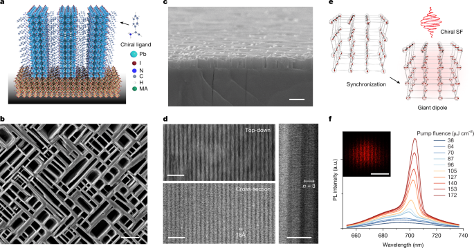 Chiral superfluorescence from perovskite superlattices at room temperature