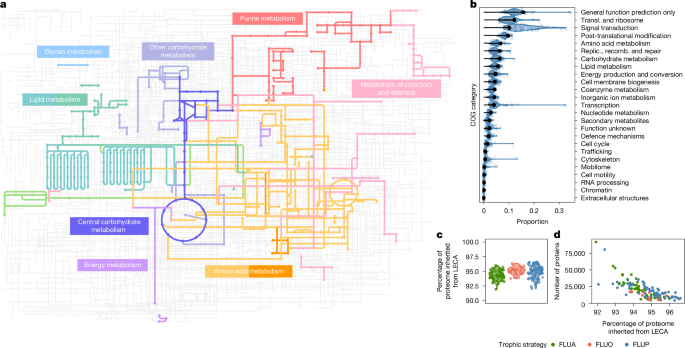 Gene ancestries reveal diverse microbial associations during eukaryogenesis