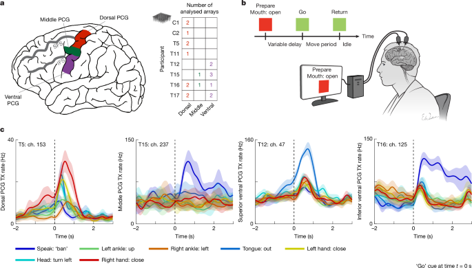 A mosaic of whole-body representations on the human precentral gyrus
