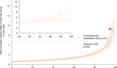 An ECG biomarker for sudden cardiac death discovered with deep learning