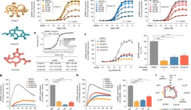 Small-molecule modulation of β-arrestins | Nature