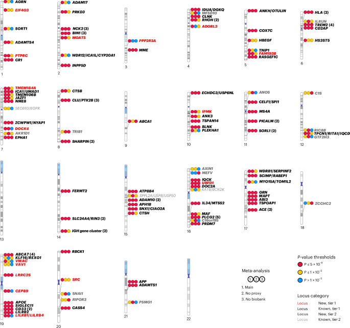 Consensus meta-analysis of genome-wide association studies for Alzheimer’s disease and related dementias